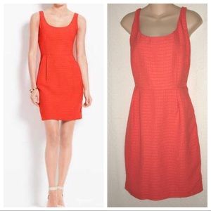 Ann Taylor dress Orange sleeveless lined Sz 8 NWT